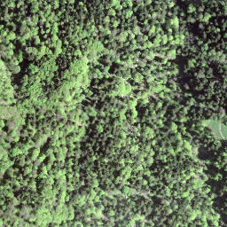 Satellite imagery of Tweralpspitz, CH