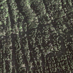 Satellite imagery of Kronberg, CH