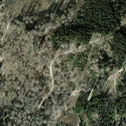 Satellite imagery of Buchenegg, CH