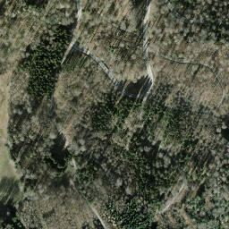 Satellite imagery of Buchenegg, CH