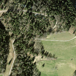 Satellite imagery of Bachtel, CH