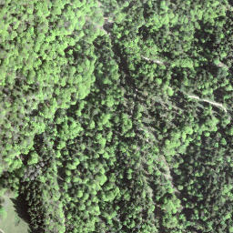 Satellite imagery of Tweralpspitz, CH