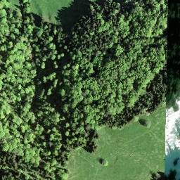 Satellite imagery of Guntliberg, CH