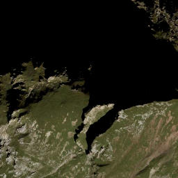 Satellite imagery of Widderstein, AT