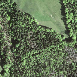 Satellite imagery of Schwammegg, CH