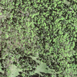 Satellite imagery of Rotstein, CH