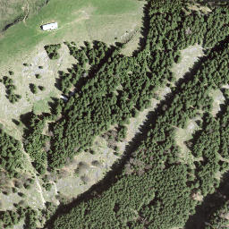 Satellite imagery of Hoch Petersalp, CH