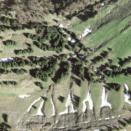 Satellite imagery of Hoch Petersalp, CH