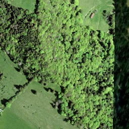 Satellite imagery of Guntliberg, CH