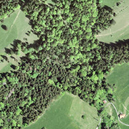 Satellite imagery of Oberer Lindberg, CH