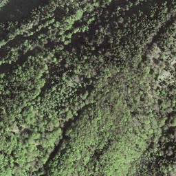 Satellite imagery of Spitzli, CH