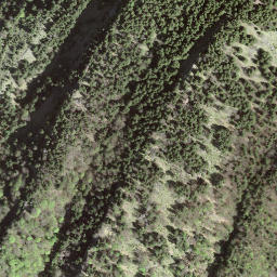 Satellite imagery of Spitzli, CH