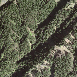 Satellite imagery of Hoch Petersalp, CH