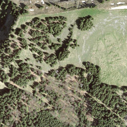 Satellite imagery of Hoch Petersalp, CH