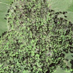 Satellite imagery of Schwammegg, CH