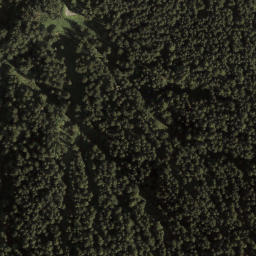 Satellite imagery of Alpwegkopf, AT
