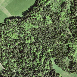 Satellite imagery of Rickenp Pass, CH