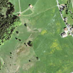 Satellite imagery of Rickenp Pass, CH