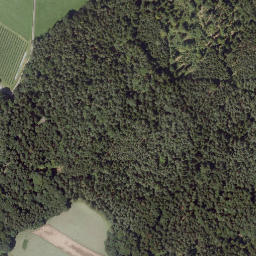 Satellite imagery of Buchkogel, AT