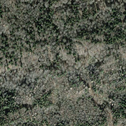 Satellite imagery of Bürglen, CH