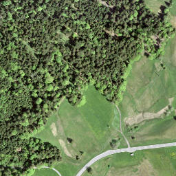 Satellite imagery of Rickenp Pass, CH