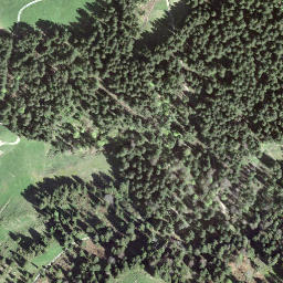 Satellite imagery of Gössigenhöchi, CH