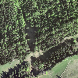 Satellite imagery of Hinderfallenchopf, CH