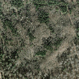 Satellite imagery of Bürglen, CH