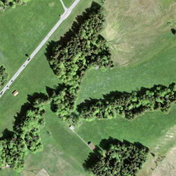 Satellite imagery of Rickenp Pass, CH