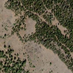 Satellite imagery of Naneum Ridge, US