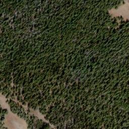 Satellite imagery of Naneum Ridge, US