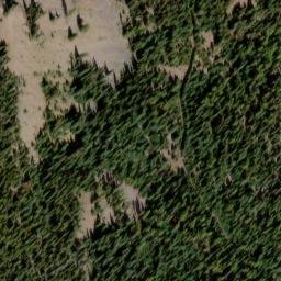 Satellite imagery of Naneum Ridge, US