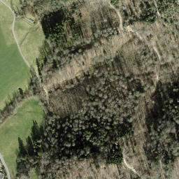 Satellite imagery of Bürglen, CH
