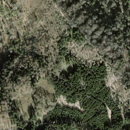 Satellite imagery of Albishorn, CH