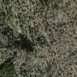 Satellite imagery of Albishorn, CH