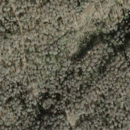 Satellite imagery of Albishorn, CH