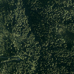 Satellite imagery of Elferkogel, AT
