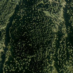 Satellite imagery of Scheidegg, AT