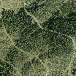 Satellite imagery of Scheidegg, AT