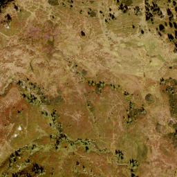 Satellite imagery of Gründegg, AT