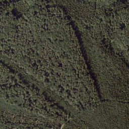 Satellite imagery of Raasberg, AT