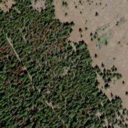 Satellite imagery of Naneum Ridge, US