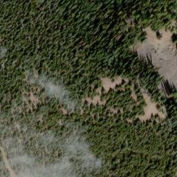 Satellite imagery of Naneum Ridge, US