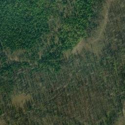 Satellite imagery of Rice Ridge, US