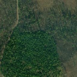 Satellite imagery of Rice Ridge, US