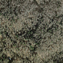 Satellite imagery of Albishorn, CH