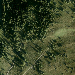 Satellite imagery of Scheidegg, AT