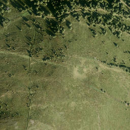 Satellite imagery of Scheidegg, AT