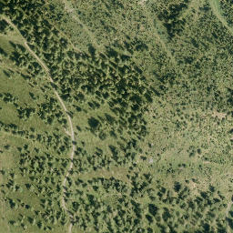 Satellite imagery of Scheidegg, AT