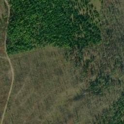 Satellite imagery of Rice Ridge, US